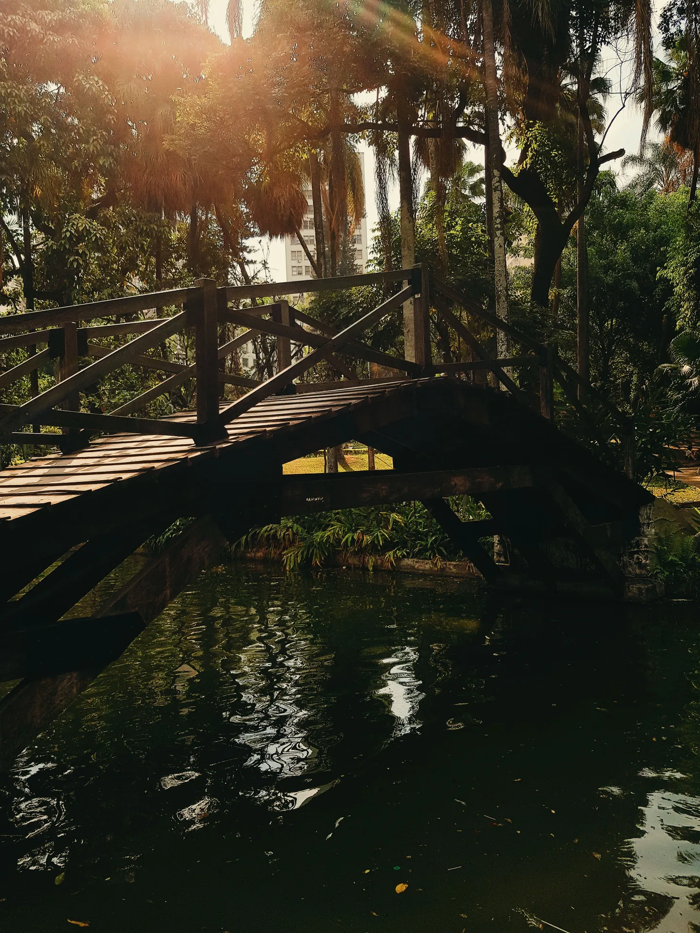 Ponte de madeira sobre o lago de um parque, com o sol entre as árvores