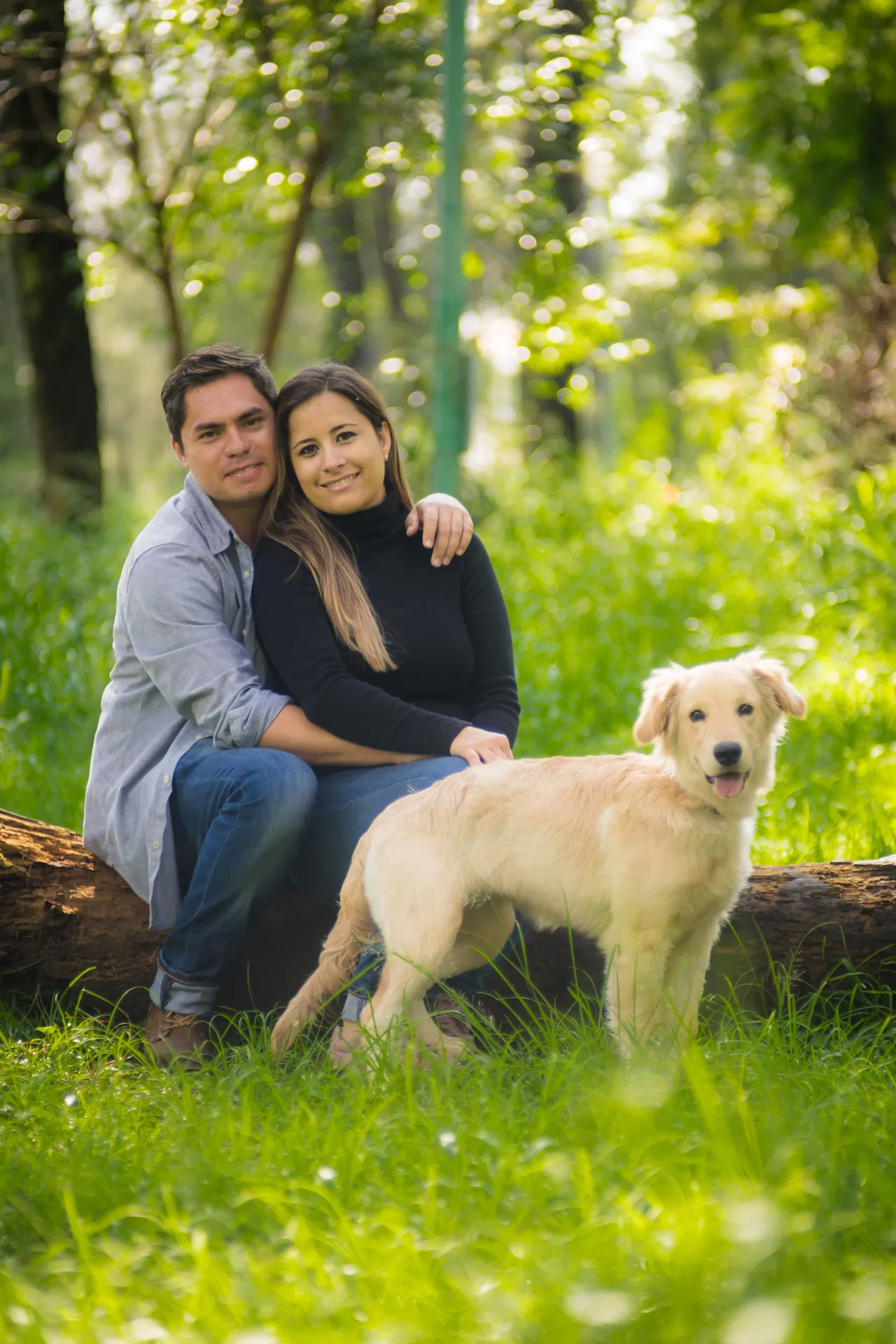 Casal sentado num tronco de parque com um cachorro golden retriever ao lado