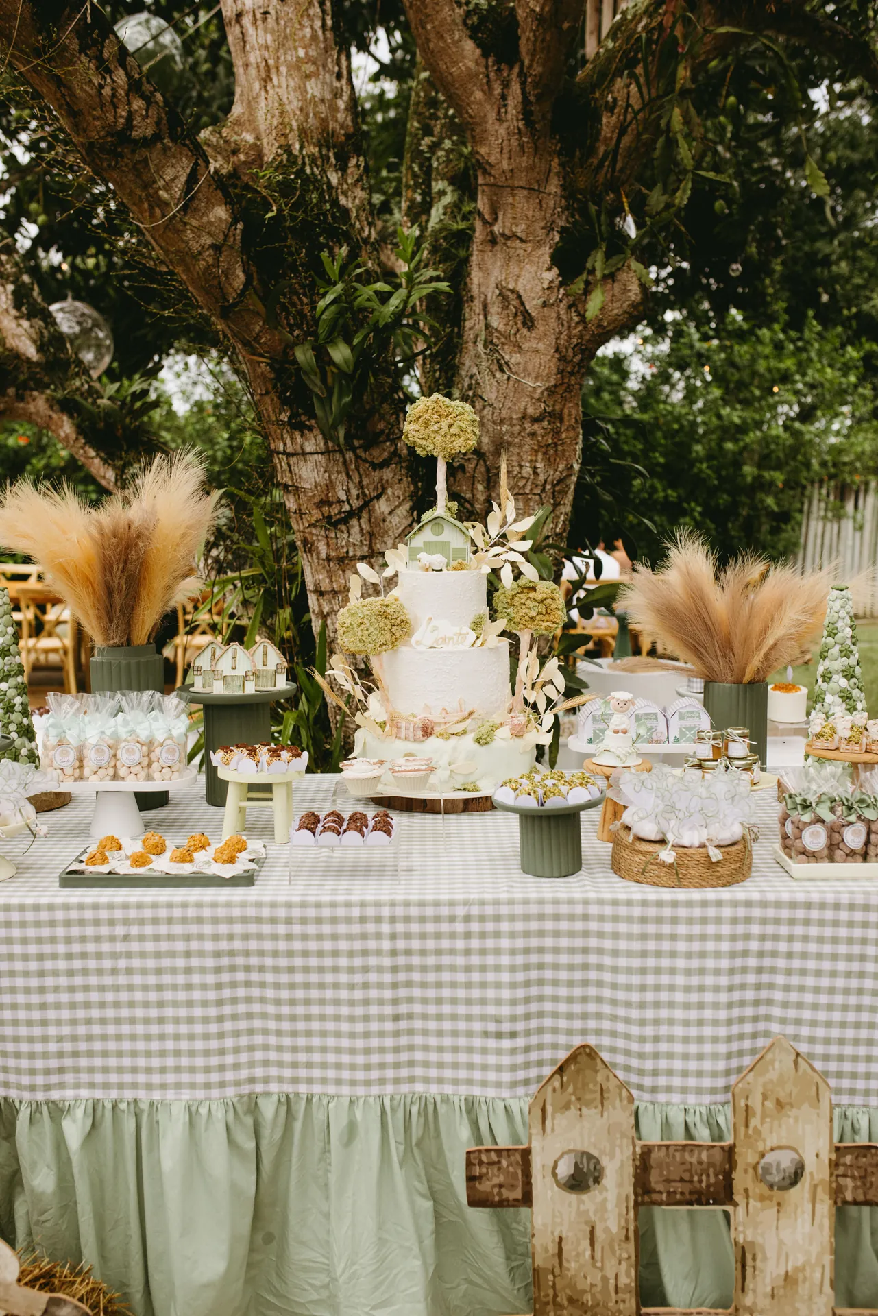 Mesa de festa com tema de fazendinha montada sob uma árvore, com bolo e capim-dos-pampas